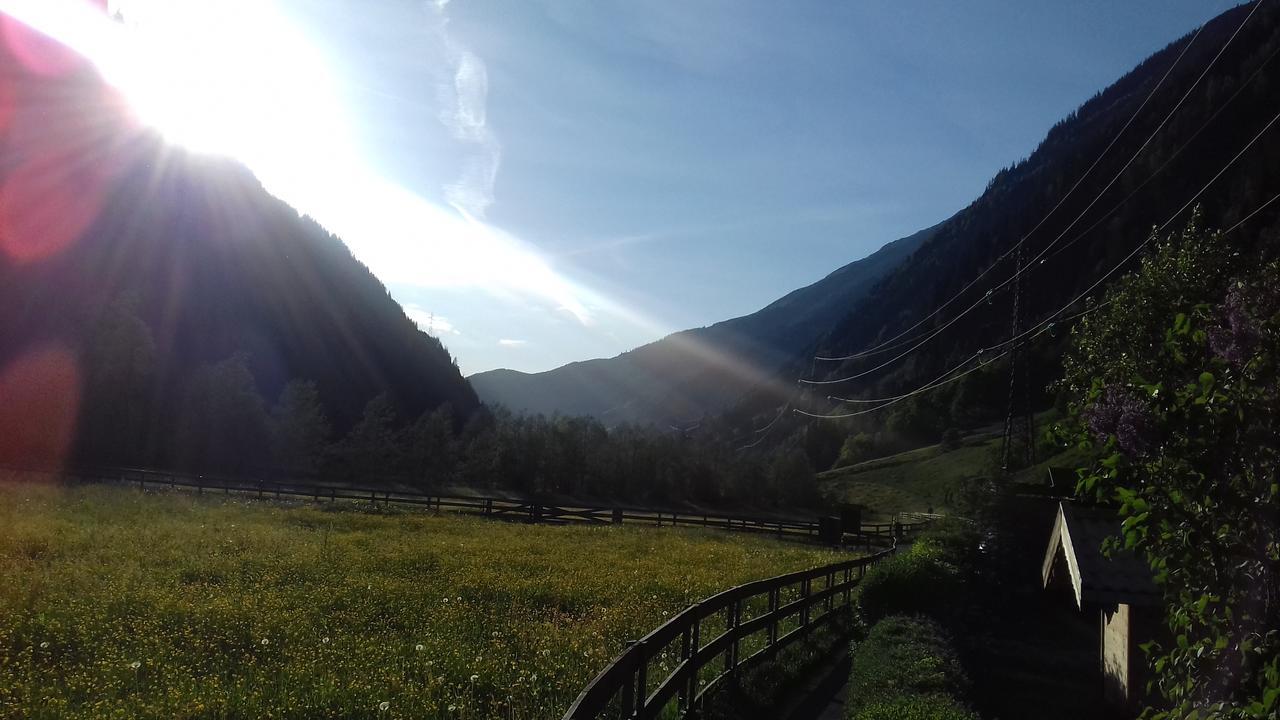 Hotel Gasthaus Haeusling Alm à Mayrhofen Extérieur photo